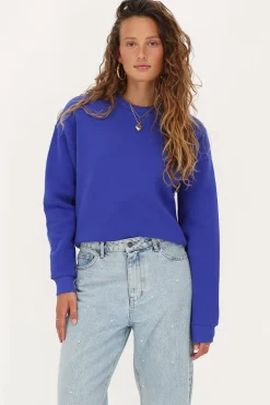 Blauwe Sweater 