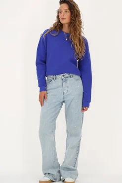 Blauwe Sweater 