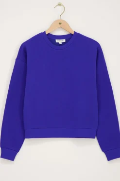 Blauwe Sweater 
