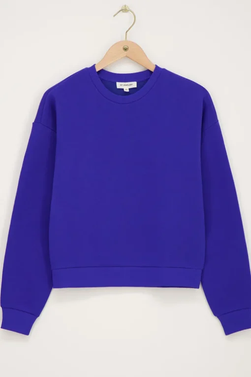 Blauwe Sweater "Paris La Ville"