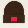 Bruine Muts Met Patch