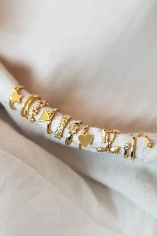 Earcuff Dubbele Ringetjes