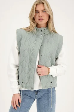 Grijze Gewatteerde Bodywarmer Met Drukknopen