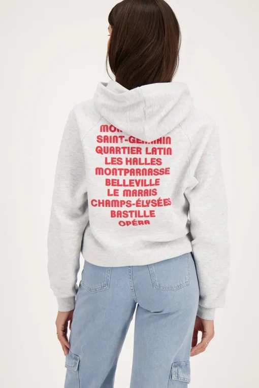 Grijze Hoodie Paris City