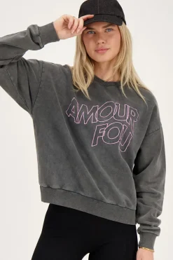 Grijze Sweater Amour Fou