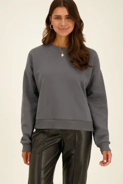 Grijze Sweater C'est La Vie