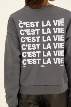 Grijze Sweater C'est La Vie
