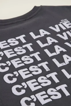 Grijze Sweater C'est La Vie
