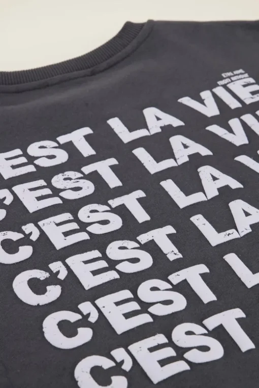Grijze Sweater C'est La Vie