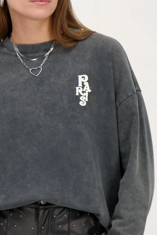 Grijze Sweater La Vie A Paris