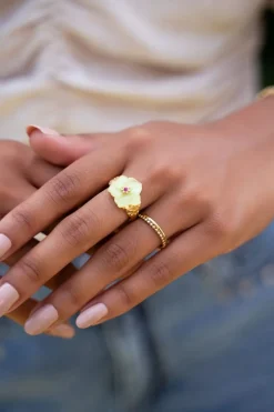 Iconic Smalle Ring Met Bolletjes