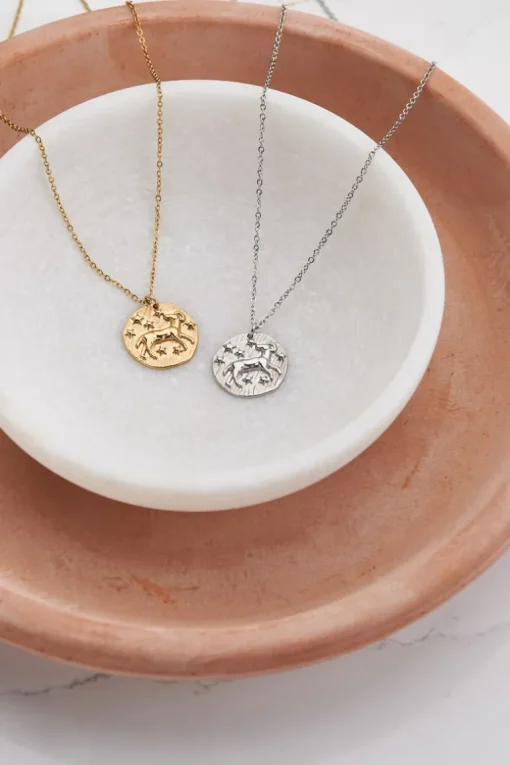 Ketting Zodiac