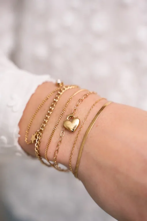 Minimalistische Dubbele Armband Met Hartjes Bedel
