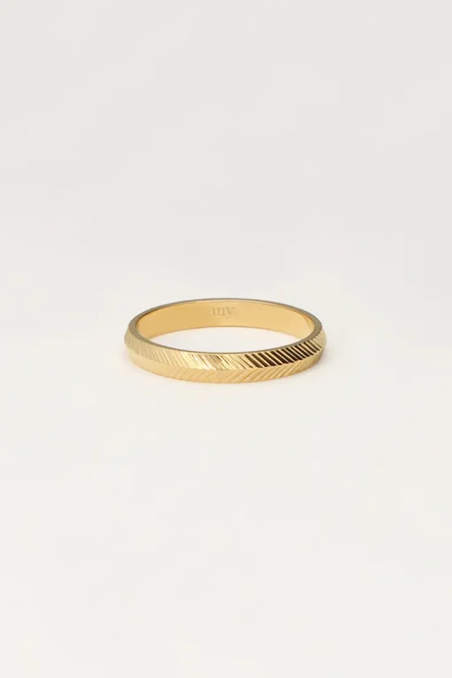 Minimalistische Ring Met Vissengraat