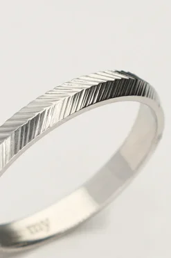 Minimalistische Ring Met Vissengraat
