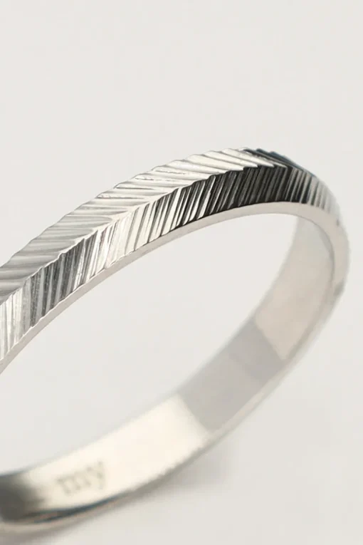 Minimalistische Ring Met Vissengraat