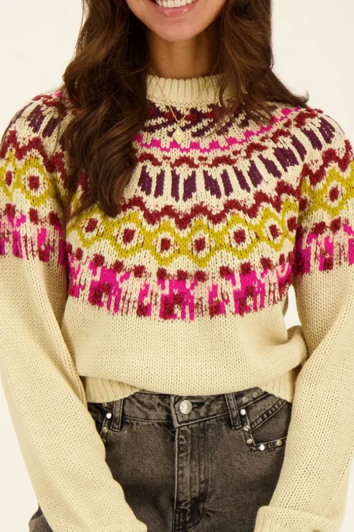Multikleur Trui Jacquard
