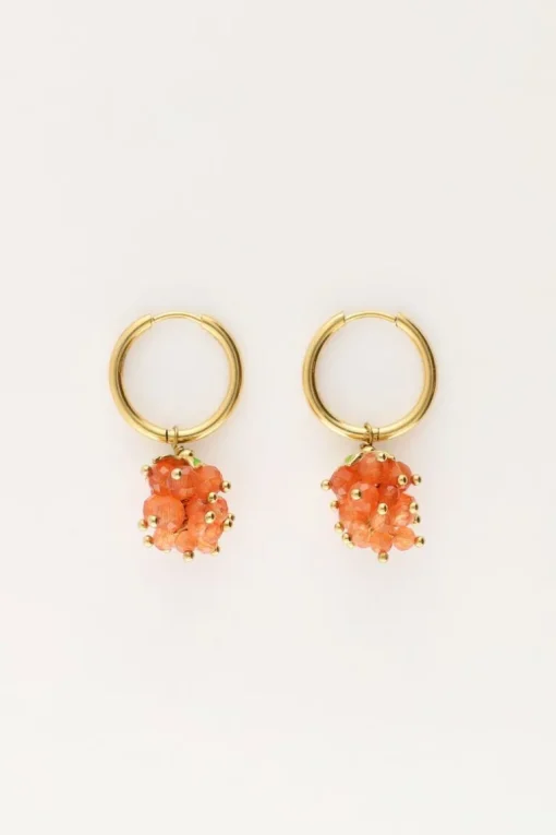 Oorringen Met Oranje Druiventros