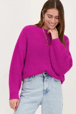 Paarse Oversized Trui Met Opstaande Kraag