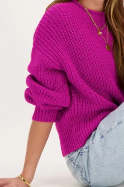 Paarse Oversized Trui Met Opstaande Kraag