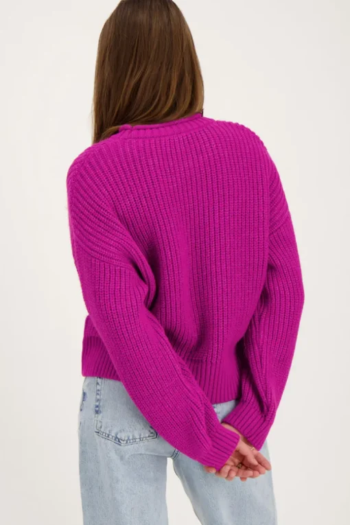 Paarse Oversized Trui Met Opstaande Kraag