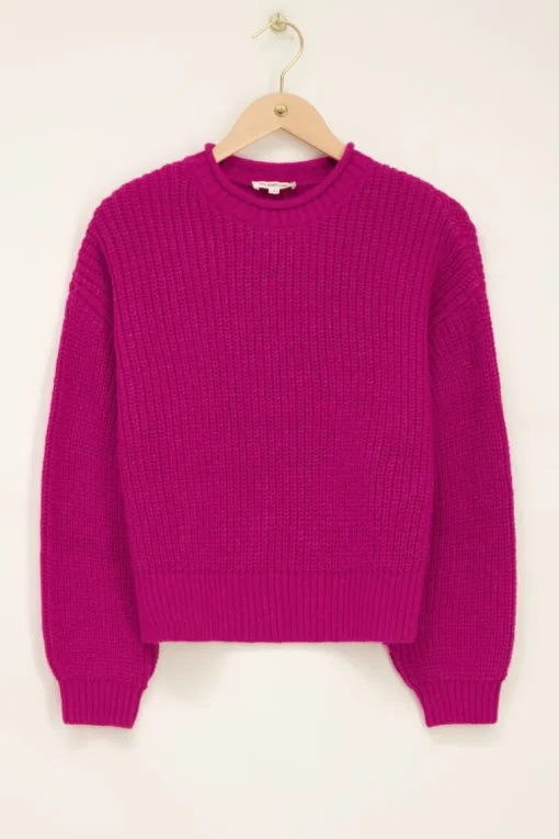 Paarse Oversized Trui Met Opstaande Kraag