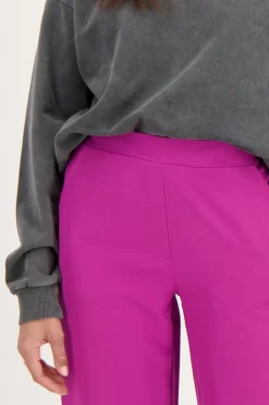 Paarse Pantalon Met Elastiek