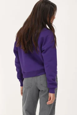 Paarse Sweater 