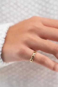 Pink Ring Met Schakels