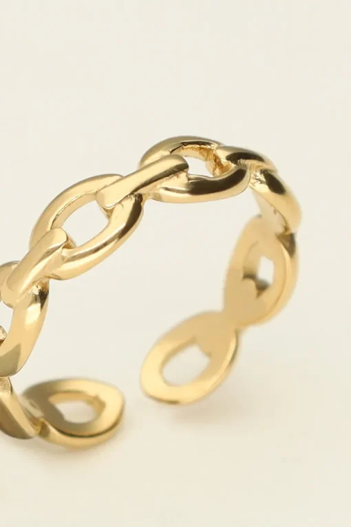 Pink Ring Met Schakels