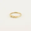 Ring 3 Hartjes