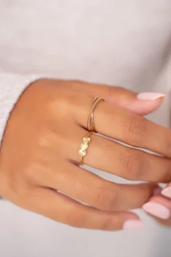 Ring Met Drie Muntjes