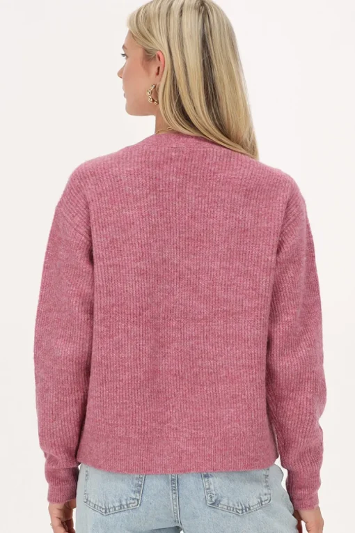 Roze Vest Met Strikjes