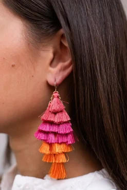Statement Oorbellen Met Gekleurde Flosjes