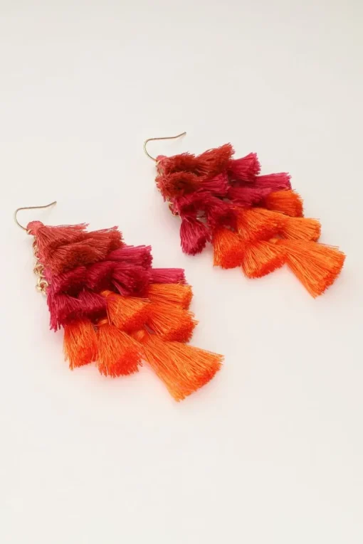 Statement Oorbellen Met Gekleurde Flosjes