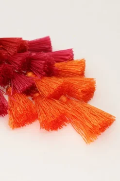 Statement Oorbellen Met Gekleurde Flosjes