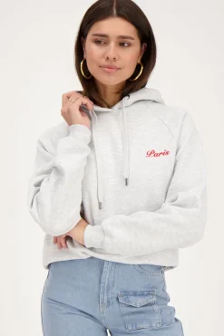 Grijze Hoodie Paris City