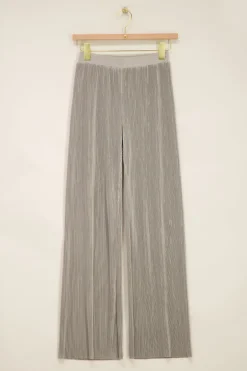 Zilveren Plissé Broek